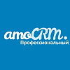 Лицензия amoCRM: Профессиональный